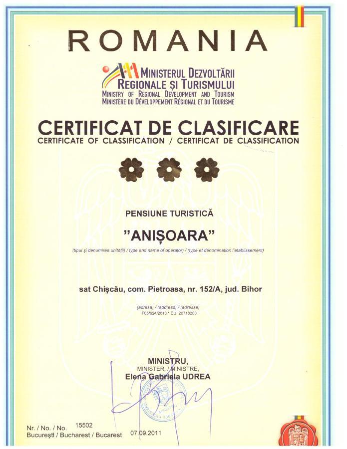 Pensiunea Anisoara Chiscau 外观 照片